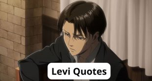 Levi Quotes