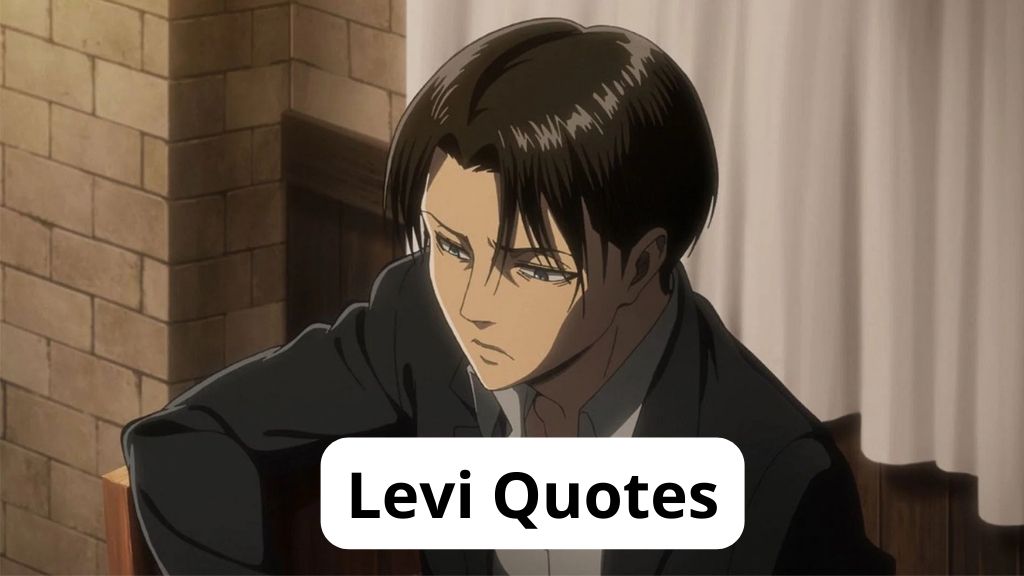 Levi Quotes