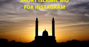 Short Islamic Bio For instagram