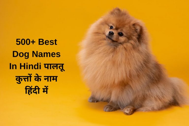 Dog Names In Hindi