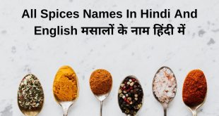 All Spices Names In Hindi And English मसालों के नाम हिंदी में