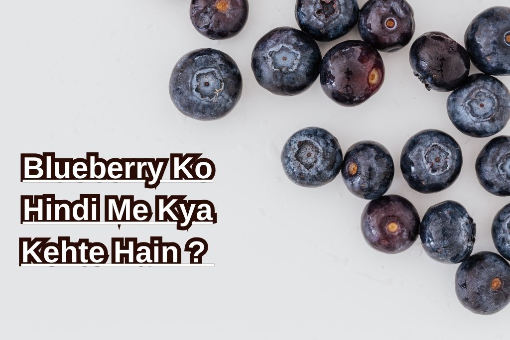 Blueberry Ko Hindi Me Kya Kehte Hain