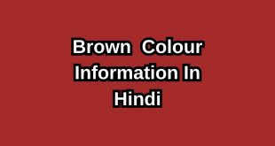 Brown Colour In Hindi