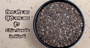 Chia Seeds in Hindi