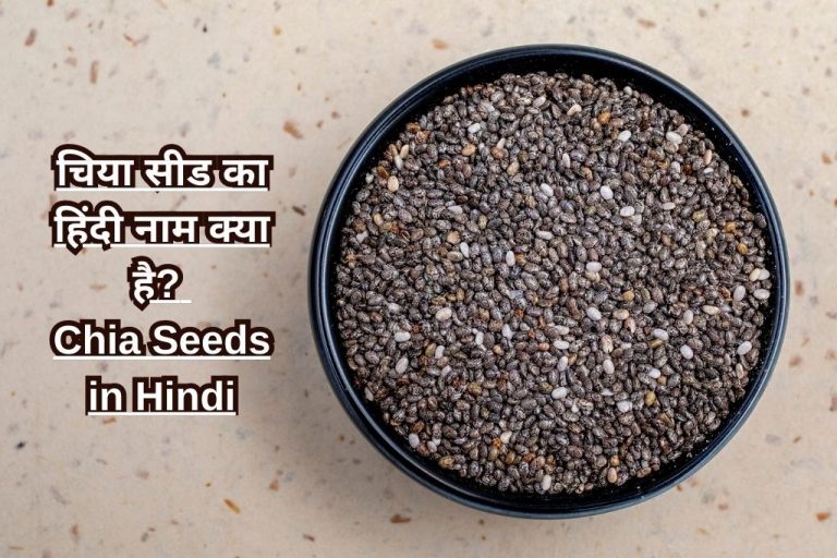 चिया सीड का हिंदी नाम क्या है? Chia Seeds in Hindi