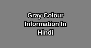 Gray Colour In Hindi