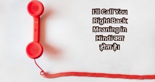I’ll Call You Right Back Meaning in Hindi