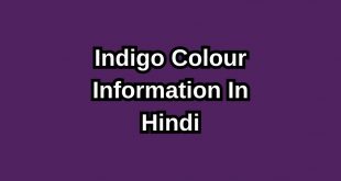 Indigo Color In Hindi