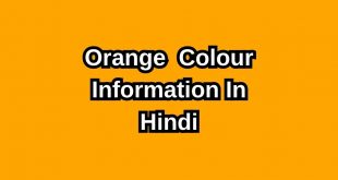 Orange Colour In Hindi