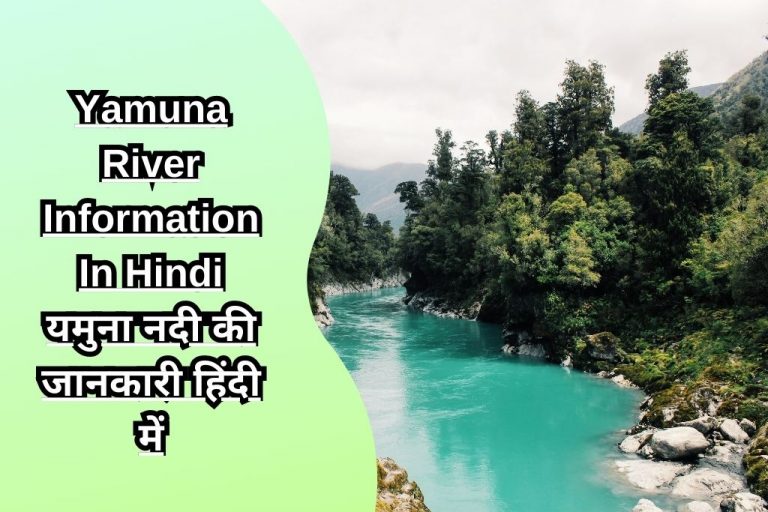 short essay on yamuna river in hindi