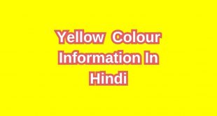 Yellow Colour In Hindi