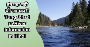 तुंगभद्रा नदी की जानकारी Tungabhadra River Information In Hindi