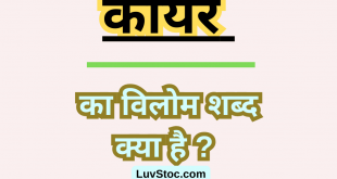 कायर का विलोम शब्द क्या है? Kayar Ka Vilom Shabd