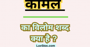 कोमल का विलोम शब्द क्या है? Komal Ka Vilom Shabd