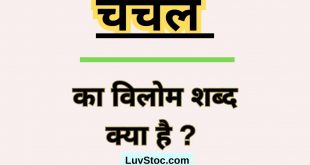 चंचल का विलोम शब्द क्या है ? Chanchal Ka Vilom Shabd