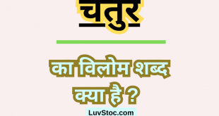 चतुर का विलोम शब्द क्या है ? Chatur Ka Vilom Shabd