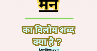 मन का विलोम शब्द क्या है? Man Ka Vilom Shabd