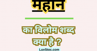 महान का विलोम शब्द क्या है? Mahan Ka Vilom Shabd