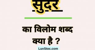 सुंदर का विलोम शब्द क्या है ? Sundar Ka Vilom Shabd