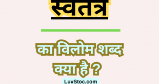 स्वतंत्र का विलोम शब्द क्या है? Swatantra Ka Vilom Shabd