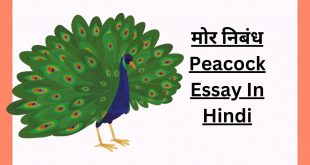 मोर निबंध 600+ शब्दों तक Peacock Essay In Hindi