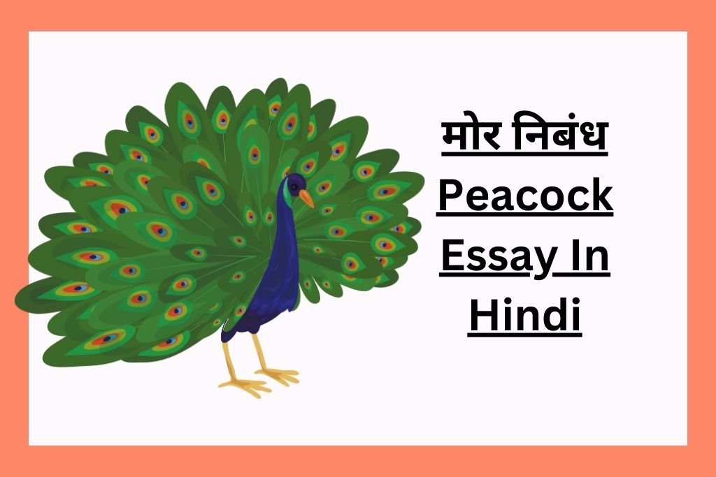 peacock essay of hindi